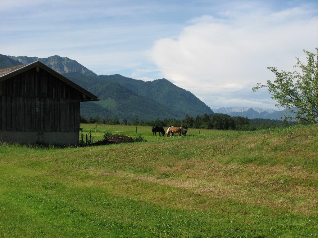 Beim Bicher Grande Synthe Bagian luar foto
